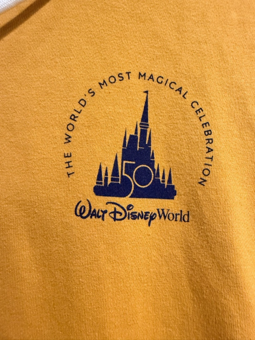 Walt Disney World 50 Magical Celebration - Picture 3 of 6